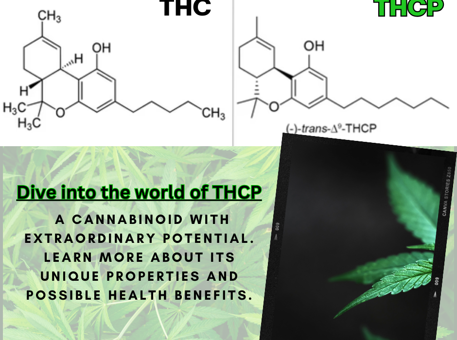 Understanding THCP Vs THC: What Sets Them Apart – Nautical Vows