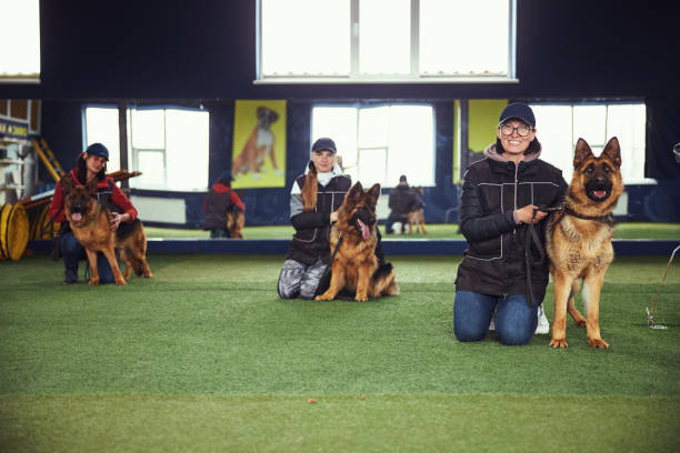 Fort Myers Dog Boarding A Home Away From Home