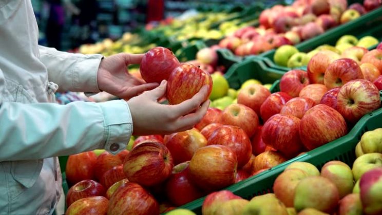 Light Resistance Training for Beginners