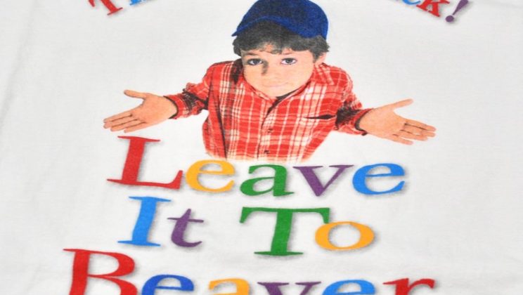 Explore Authentic Picks in Leave It to Beaver Store Today