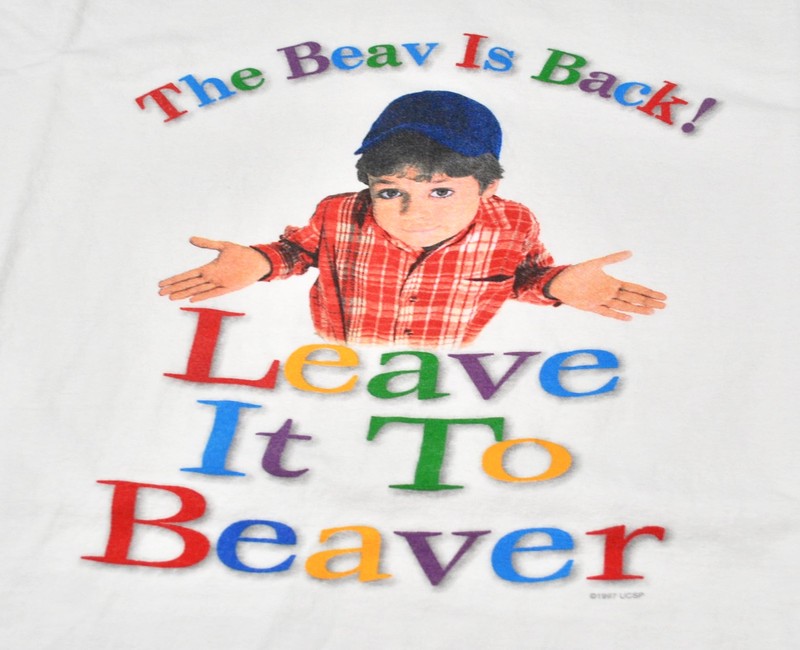 Explore Authentic Picks in Leave It to Beaver Store Today